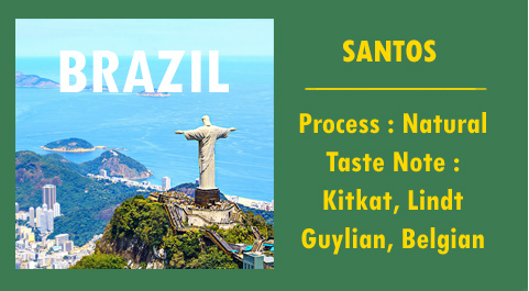 santos coffee
