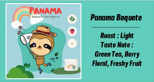 panama boquete butterfly